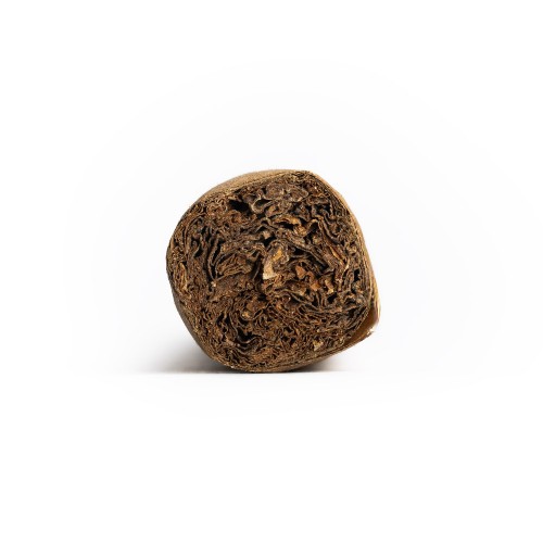AVO Expressions Limited Edition 2024 Cigar - 1 Single